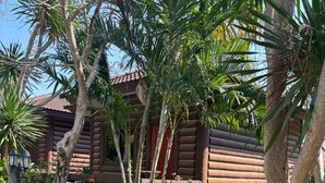 Un chalet rustique en rondins de bois, doté d  ’un jardin agrémenté de palmiers et d’arbustes.