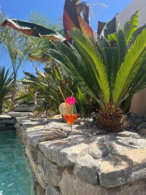 Un cadre tropical avec une piscine, des marches en pierre et une végétation luxuriante, notamment des feuilles de bananier.