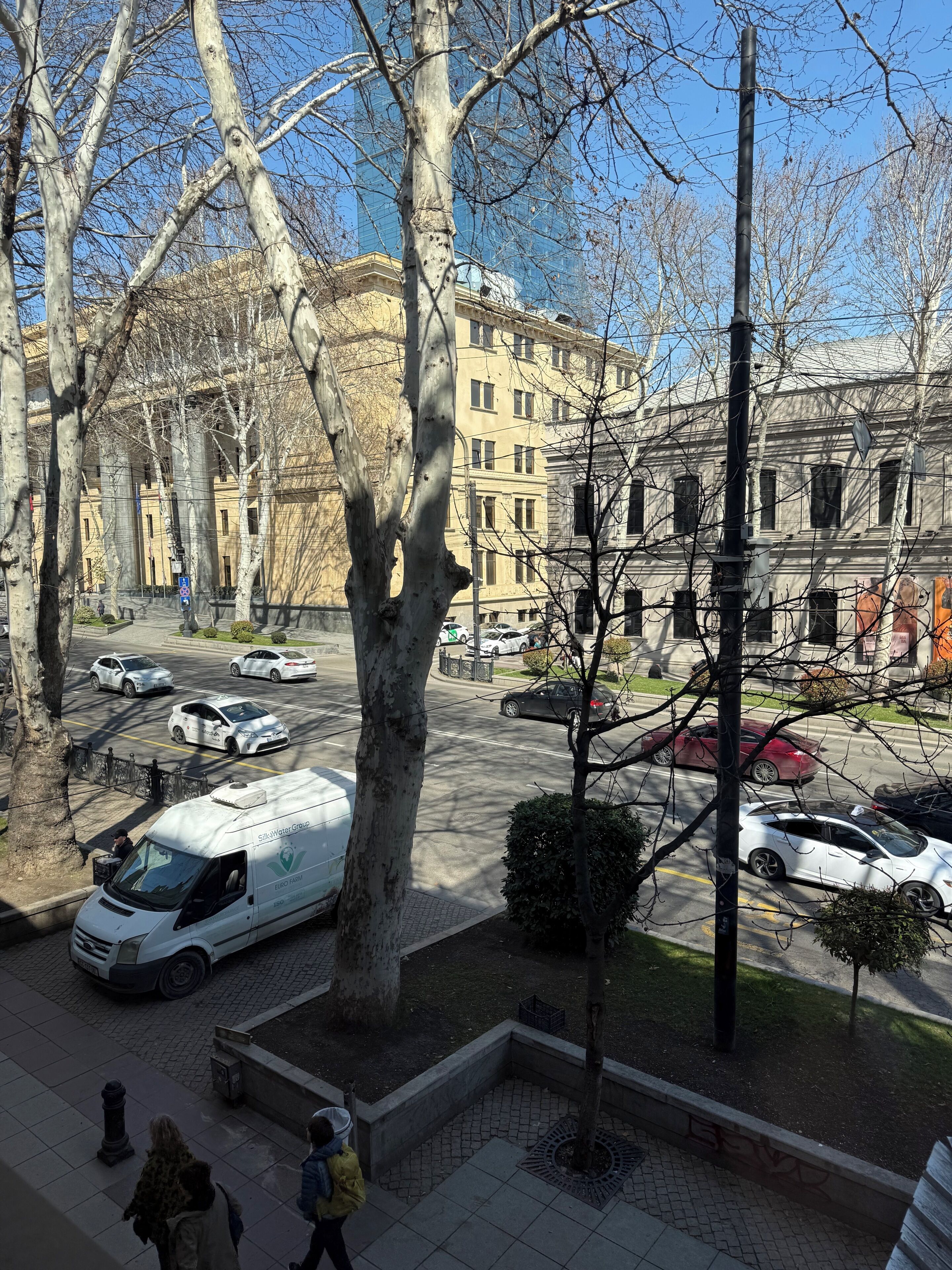 Vista da rua com uma van branca identificada como 'SilkWater Group' estacionada perto de uma árvore, um edifício com arquitetura clássica e um céu azul límpido.