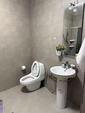 Hair dryer, towels, soap, toilet paper - Rustaveli Avenue City Center Apartment (T'bilisi)