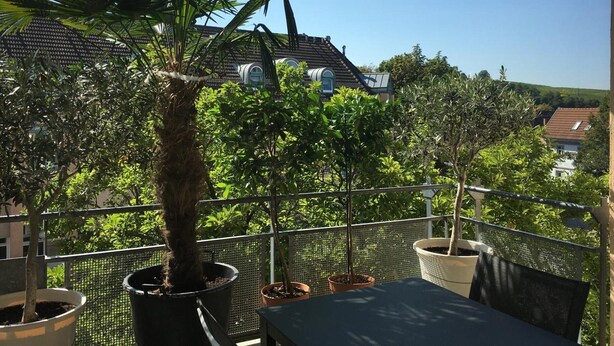 A balcony with potted plants, a table, and a chair. - City Apartment in Müllheim (Müllheim im Markgräflerland)