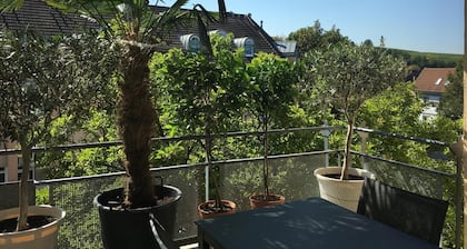 Appartement de vacances en ville Ă MĂŒllheim