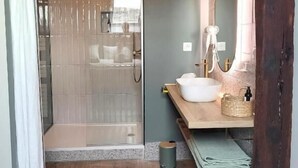 A modern bathroom with a shower, a sink, and a mirror. - Tresors de Sens  (Sens)