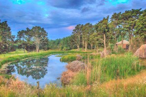 Un paysage paisible avec un étang, des arbres et un petit bâtiment.