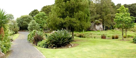 A pathway leading through a landscaped garden with various plants and trees.