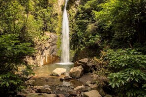 Una cascada rodeada de abundante vegetación.
