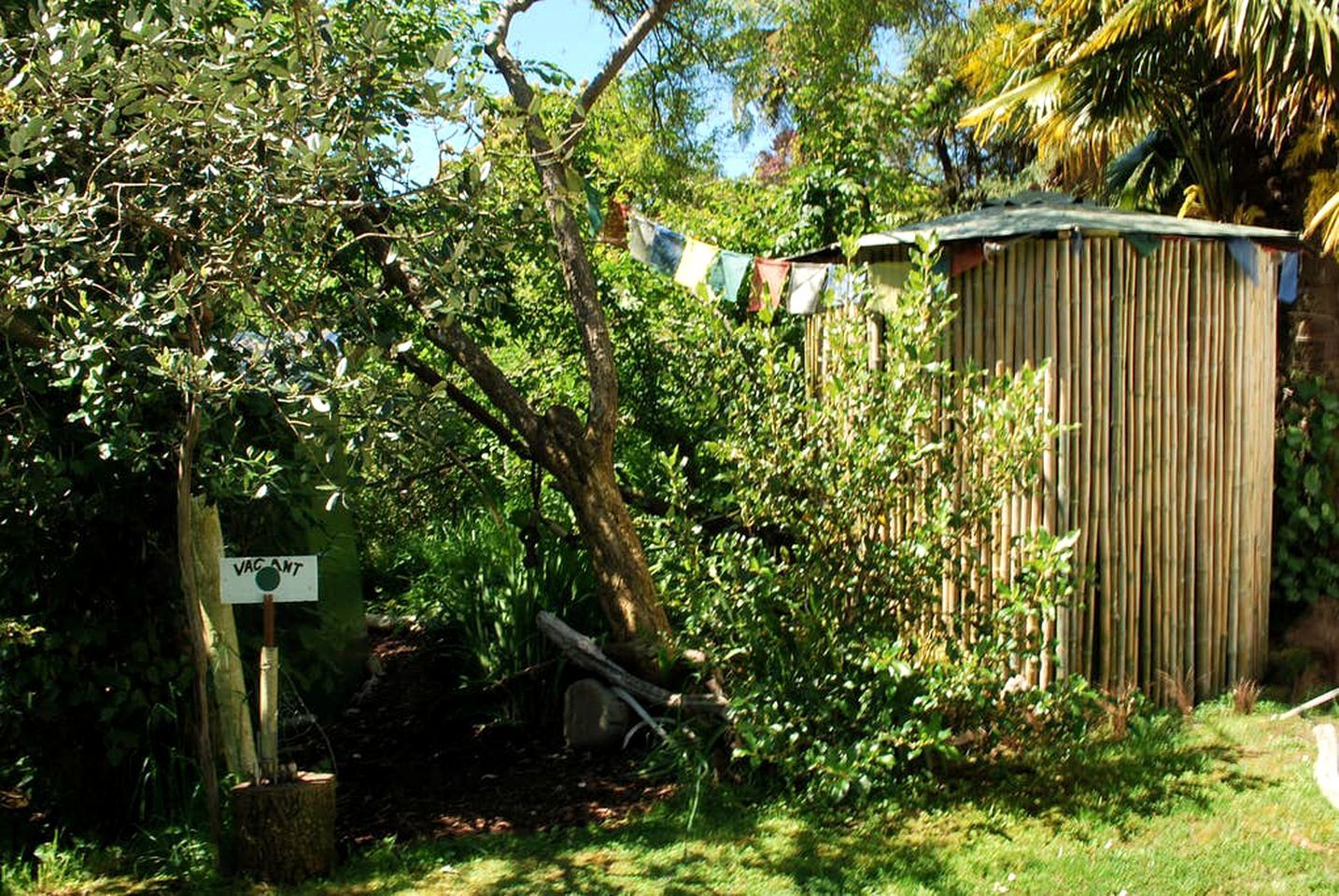 A wooden shed, a signpost with 'VACANT' written on it, and dense foliage.