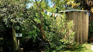 A wooden shed, a signpost with 'VACANT' written on it, and dense foliage.