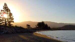 Une plage avec des empreintes de pas, un arbre et des montagnes en arrière-plan.
