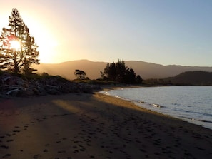A beach with footprints, a tree, and mountains in the background. - Glamping Tent on Permaculture Farm near Pohara Beach in Golden Bay, South Island (Pohara)