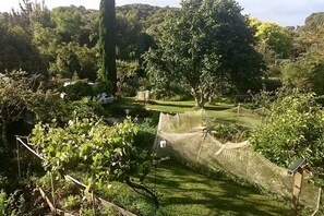 Un jardín con césped, árboles y una valla de madera.