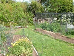Un jardin avec des plates-bandes surélevées, une structure en treillis et diverses plantes.