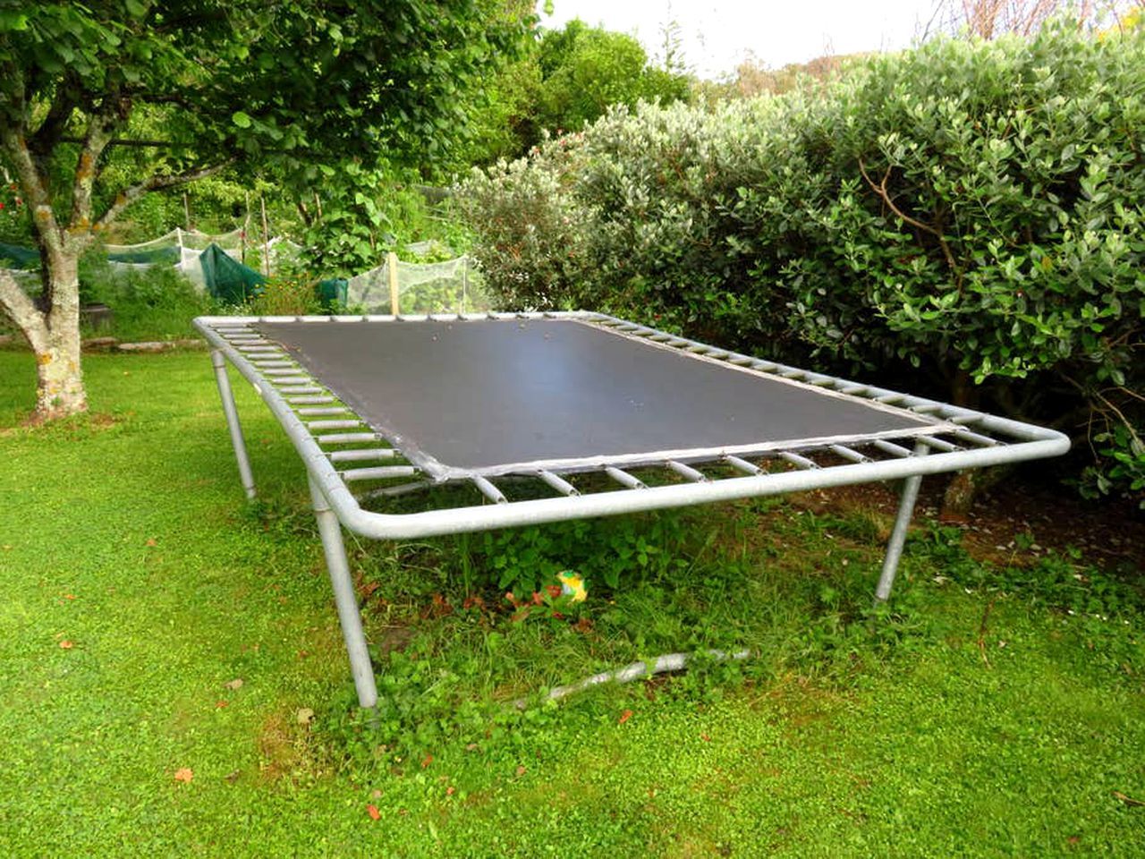Un trampolín en un área verde con un seto y árboles al fondo.
