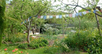 Glamping Tent on Permaculture Farm near Pohara Beach in Golden Bay, South Island