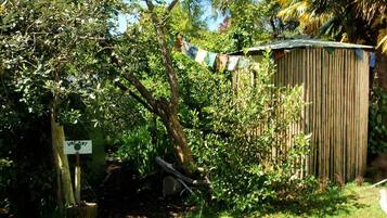 A wooden shed, a signpost with 'VACANT' written on it, and dense foliage.