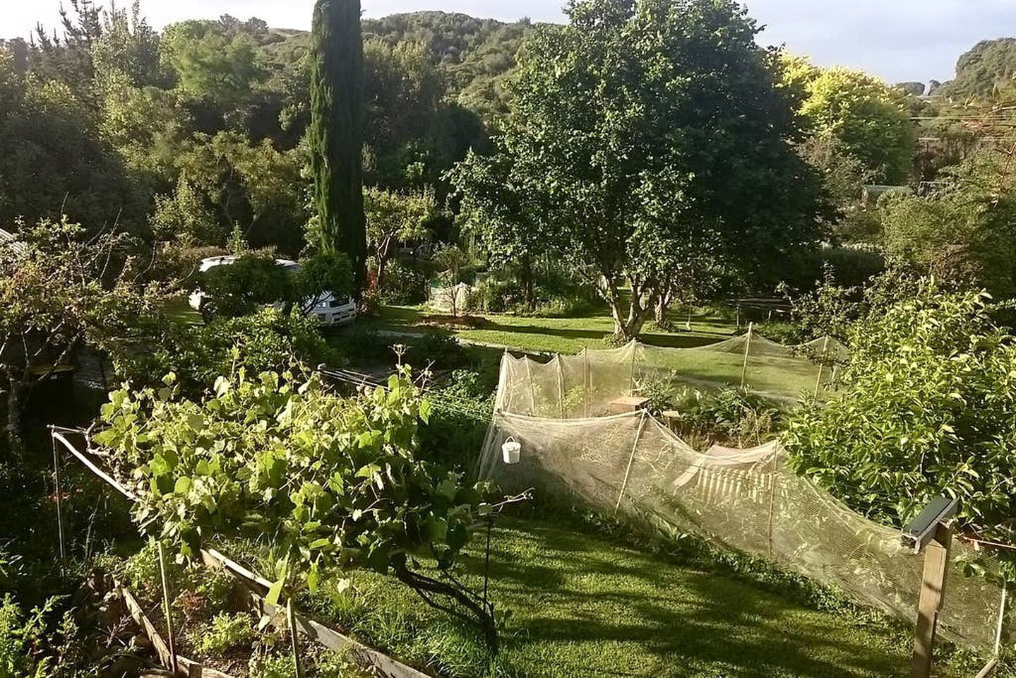 Jardines del alojamiento