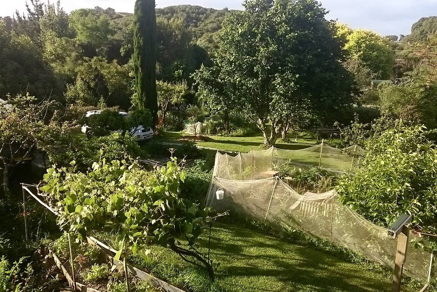 Un jardín con césped, árboles y una valla de madera.