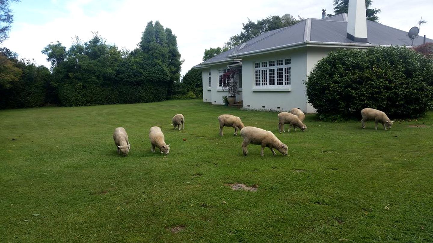 Unterkunftsgelände