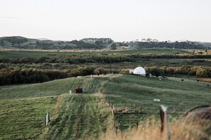 Miscellaneous - Isolated Dome Ideal for a Romantic Getaway in Rangiriri, New Zealand (Rangiriri)