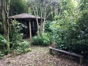 Property grounds - Waihi Accommodation for the Best Places to Visit in New Zealand (Waihi)