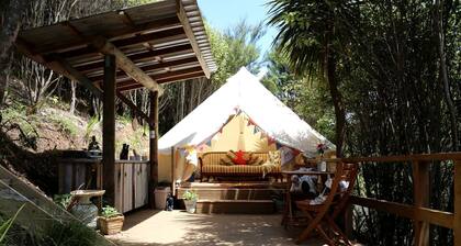Waihi Accommodation for the Best Places to Visit in New Zealand
