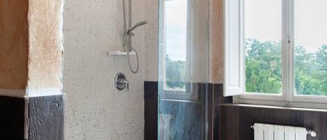 Shower, hair dryer, towels