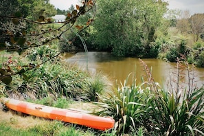 A riverbank with vegetation, a canoe, and a house in the background.