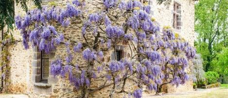 Terrein van de accommodatie