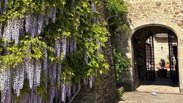 A stone building with a hanging wisteria vine, an arched entrance, and a small window on the upper floor. - Chateau for rent (Aix)