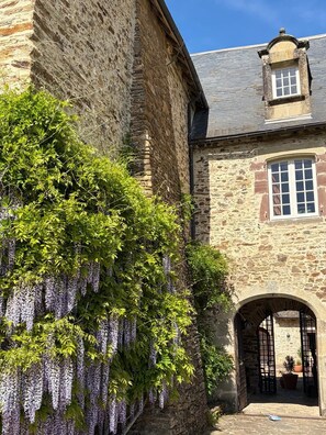 Een stenen gebouw met een overhangende wisteria en een boogvormige ingang, plus een klein raam op de bovenverdieping.