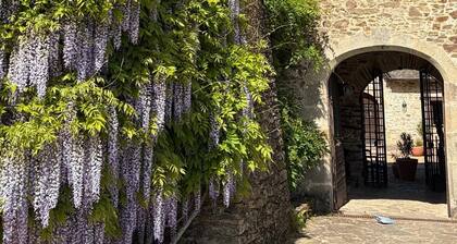 Chateau for rent