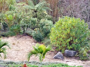 A garden with various plants and rocks. - North Island Glamping Retreat for a Surfing Holiday near Auckland (Te Arai)