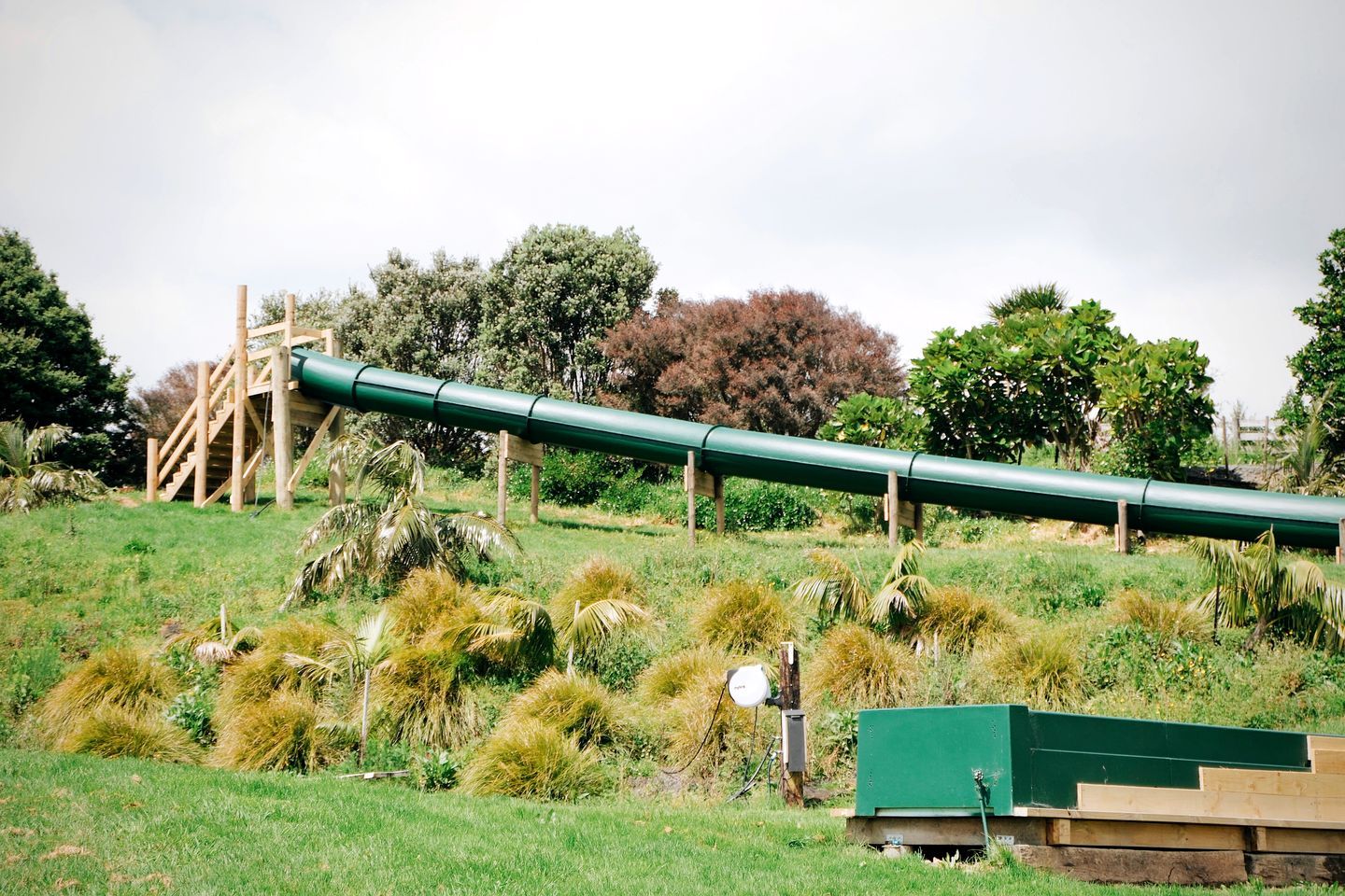 A green pipe structure, wooden stairs, and a grassy area with various plants.