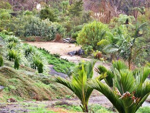 A garden with various plants and a small water feature. - North Island Glamping Retreat for a Surfing Holiday near Auckland (Te Arai)