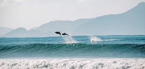 A coastal scene with waves and distant mountains.
