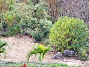 Un jardín con diversas plantas y rocas.