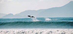 Escena costera con olas y montañas a lo lejos.