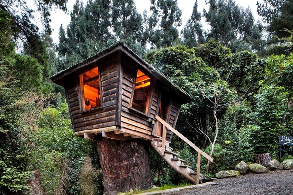 A wooden treehouse with a staircase leading up to it, surrounded by dense forest.