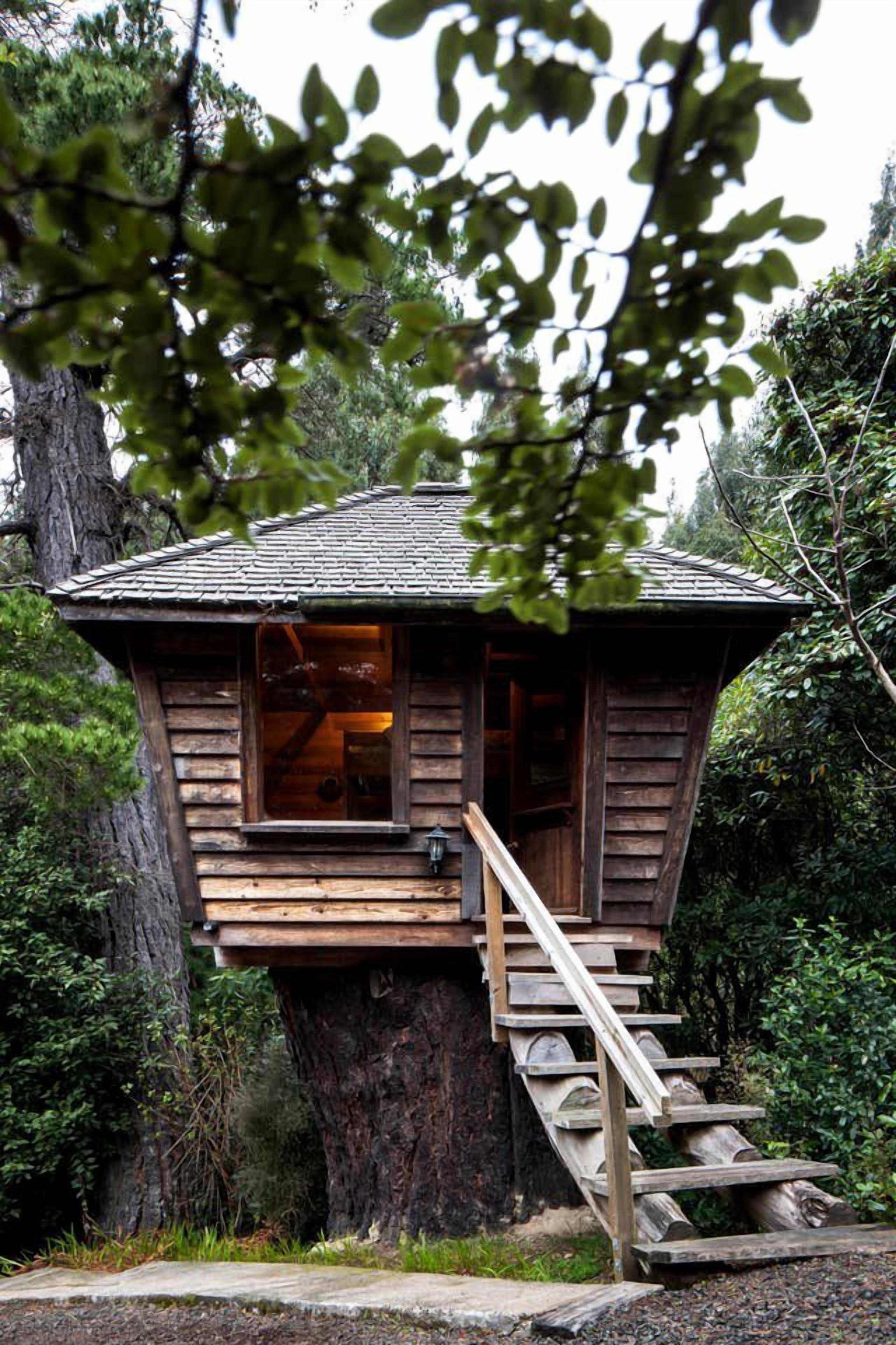 Une cabane en bois avec un escalier menant à une entrée dotée de fenêtres, le tout entouré d’arbres.