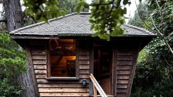 A wooden cabin with a staircase leading to a windowed entrance, surrounded by trees.