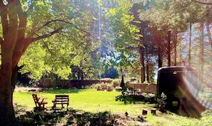 Un espace extérieur verdoyant, avec une table de pique-nique et des chaises, entouré d’arbres et d’un grand réservoir d’eau.
