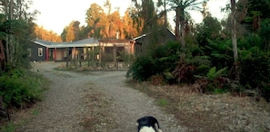 A gravel driveway leading to a house with a red door, surrounded by dense vegetation and trees.
