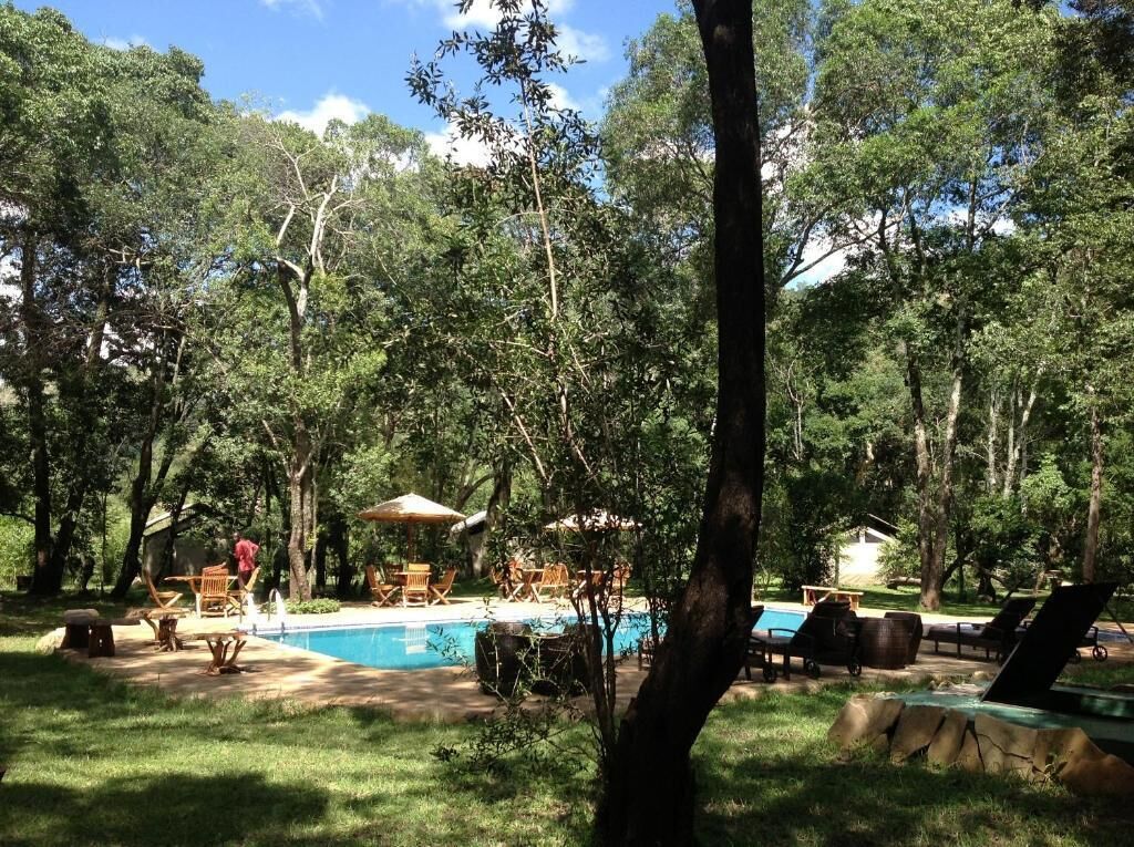 Un patio trasero con piscina, sillas de descanso y zona de comedor.