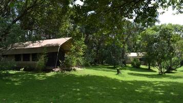 A tented accommodation with a grassy lawn, trees, and a clear sky.