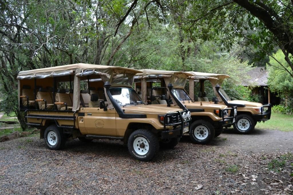 Two safari vehicles parked on a gravel path surrounded by trees.