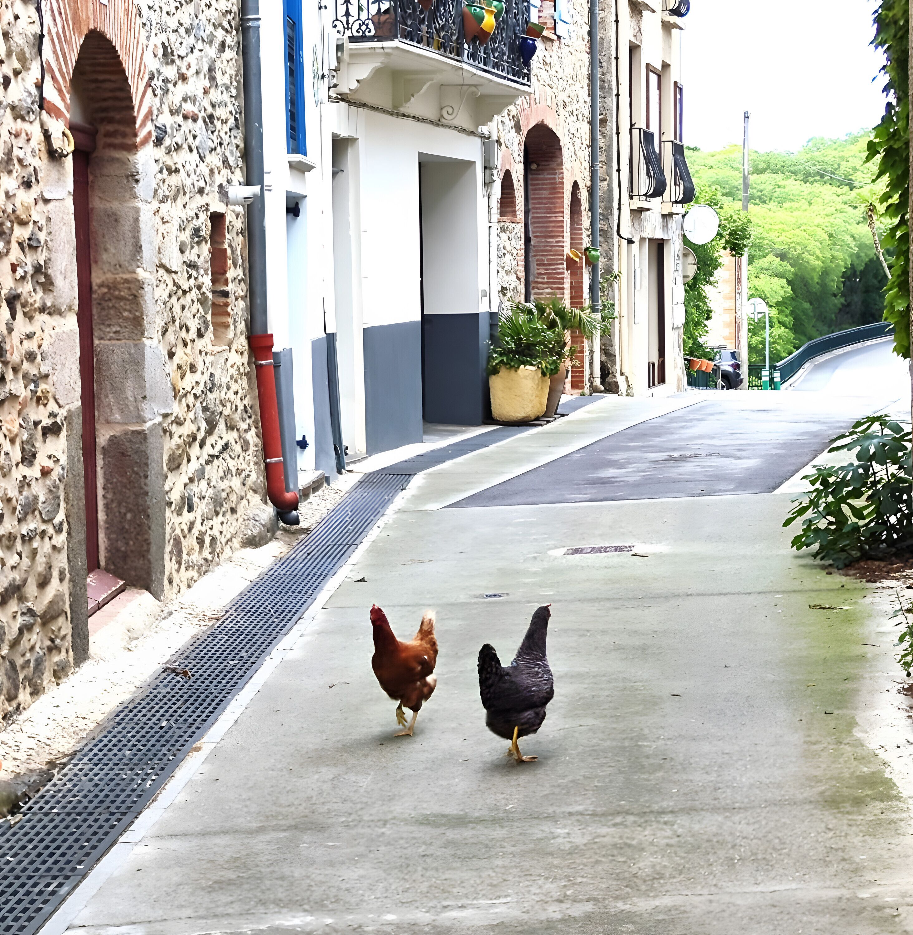 Enceinte de l’hébergement