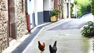 Enceinte de lâhĂ©bergement