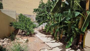 Huoneisto, näköala lahdelle | Ulkoalueet