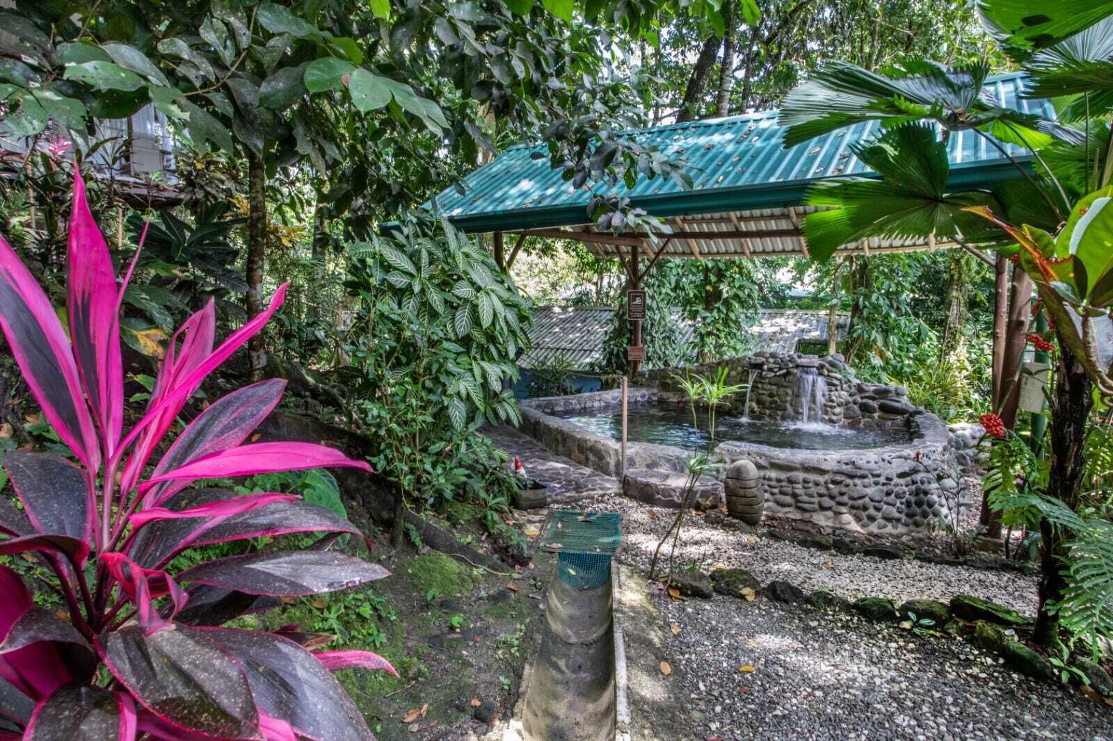A garden with a water feature, a gazebo, and lush greenery.