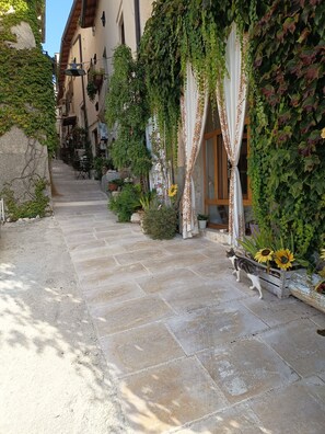 Detalle del exterior